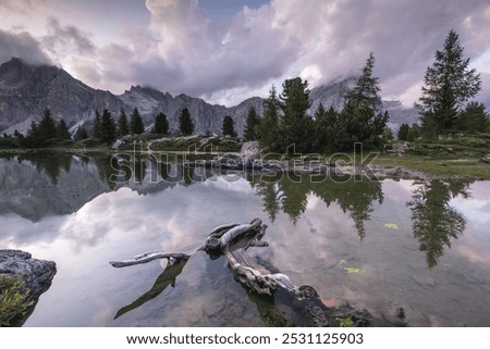 Image, Stock Photo Tofana di Rozes reflected in small pond on Passo Falzarego, Dolomites in the Province of Belluno, Veneto, Italy