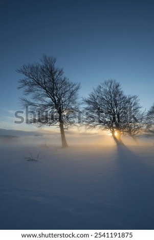 Similar – Image, Stock Photo Sunset on the Schauinsland