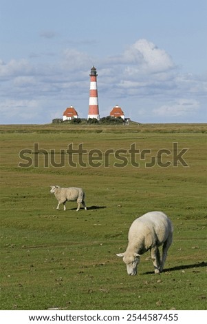 Similar – Foto Bild Leuchtturm Westerhever hinter den Dünen von St. Peter-Ording