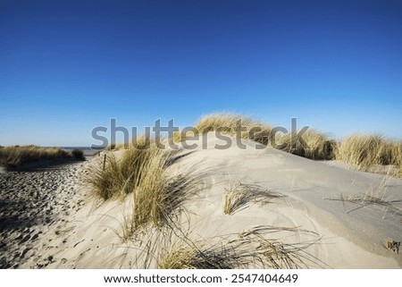 Similar – Foto Bild Spiekeroog in East Frisia