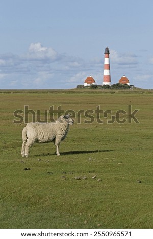 Foto Bild Leuchtturm Westerhever hinter den Dünen von St. Peter-Ording