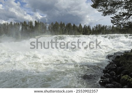 Similar – Image, Stock Photo Storforsen rapids in the evening light II