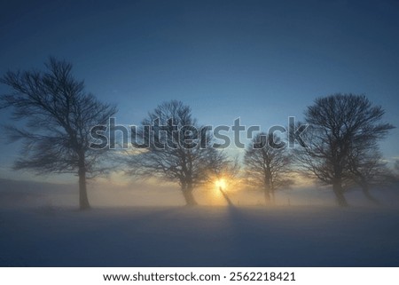 Image, Stock Photo Sunset on the Schauinsland