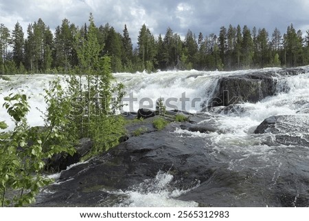 Similar – Image, Stock Photo Storforsen rapids in the evening light II