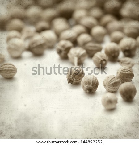textured old paper background with coriander seeds