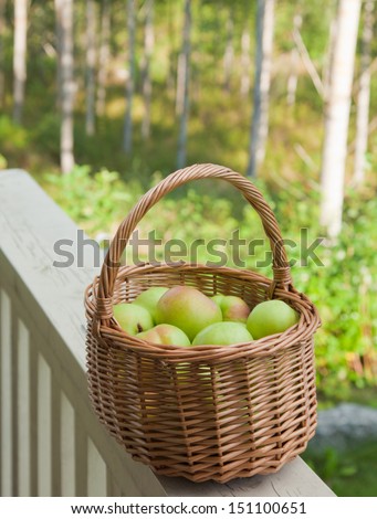 northern summer - basket of green apples on a railing of white porch, trees in the background