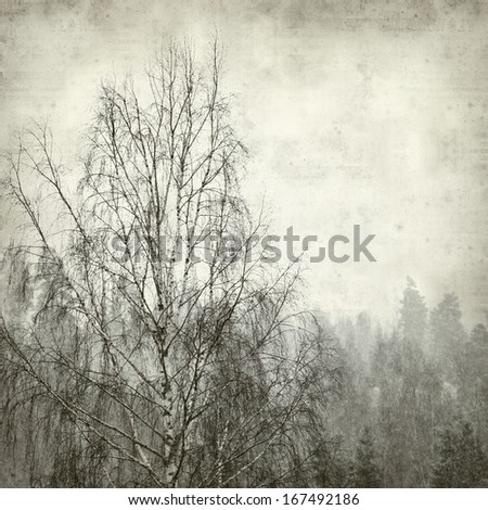 textured old paper background with winter forest