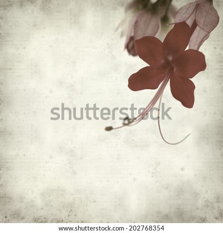 textured old paper background with exotic flower