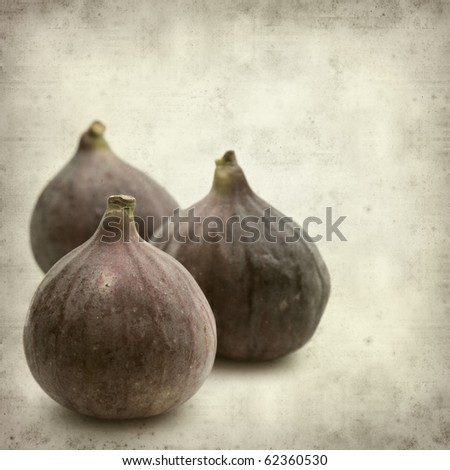 textured old paper background with ripe purple bursa figs fruit