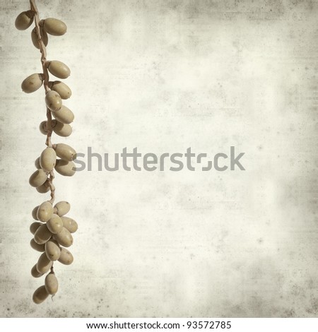 textured old paper background with phoenix palm tree fruit
