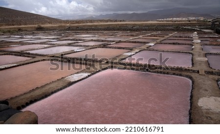 Gran Canaria, salt evaporation ponds Bocacangrejo in the mouth  of Barranco Guayadeque ravine Foto stock © 