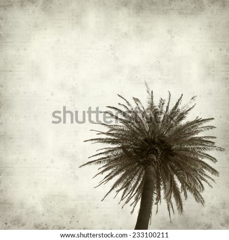 textured old paper background with tall palm tree