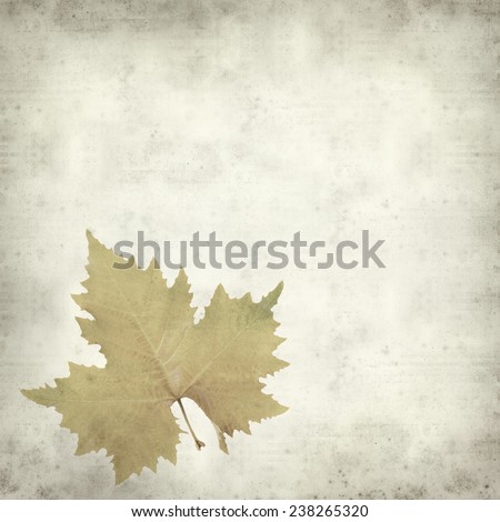 textured old paper background with autumnal plane tree leaf