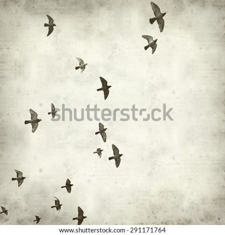 textured old paper background with flying pigeons