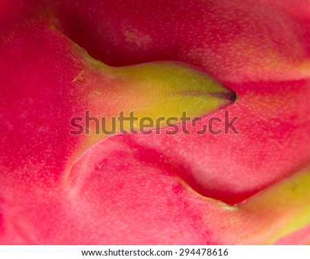 whole red dragon fruit with green scales food background