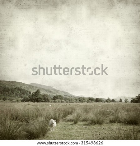 textured old paper background with Scotland summer landscape with grazing sheep