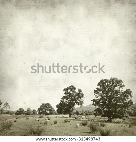 textured old paper background with Scotland summer landscape with grazing sheep
