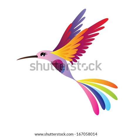 hummingbird isolated