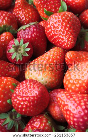 A pocket strawberry close-up, virtual background