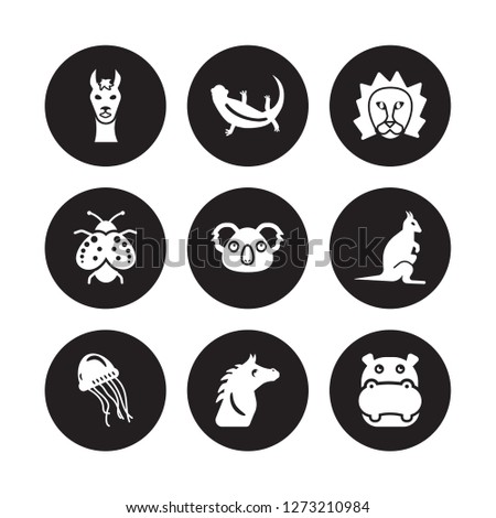 9 vector icon set : Llama, Lizard, Jellyfish, Kangaroo, Koala, Lion, Ladybug, Horse isolated on black background