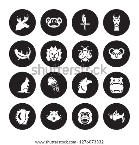 16 vector icon set : Moose, Gorilla, Hamster, Hedgehog, Hippopotamus, Goldfish, Lizard, Kangaroo, Ladybug isolated on black background
