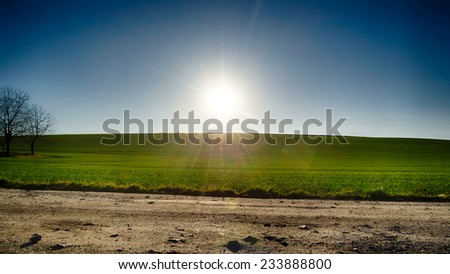 green field in the sun blue sky