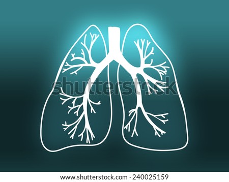 Lung Biology Organ Medicine Study Human turquoise
