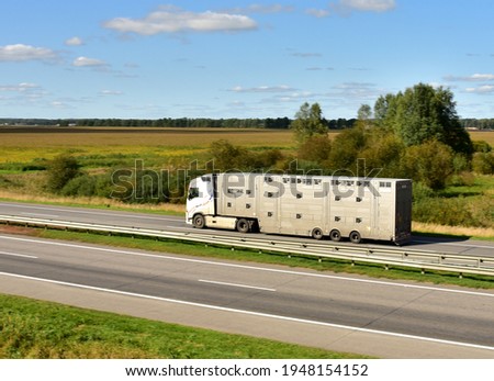 Similar – Foto Bild Käfigwagen für den Viehtransport mit einem Schweineschwanz, der aus dem Belüftungsfenster ragt.