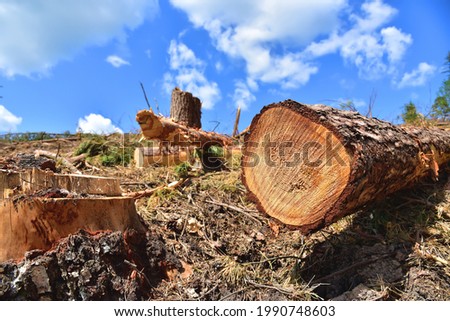 Similar – Image, Stock Photo Environmental destruction