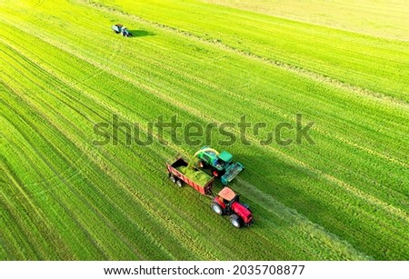 Forage harvester during grass cutting for silage in field. Harvesting biomass crop. Self-propelled Harvester for agriculture industry. Tractor work on silage season. Farm equipment and farming machine