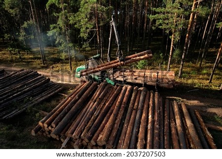 Similar – Image, Stock Photo felled tree in forest