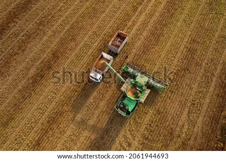 Combine harvester working in wheat field. Harvesting machine during cutting crop in a farm. Drone view of combines during grain harvesting. Silage harvesting and hay making in harvest season.
