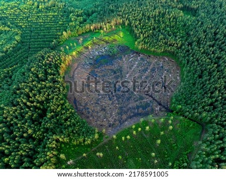 Similar – Image, Stock Photo View from a destroyed window onto old factory buildings. In this lost place, nature reclaims what was taken from it.