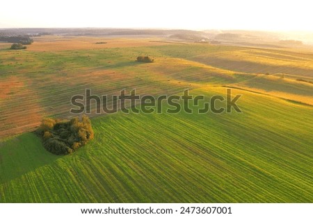 Similar – Image, Stock Photo Grain field from above