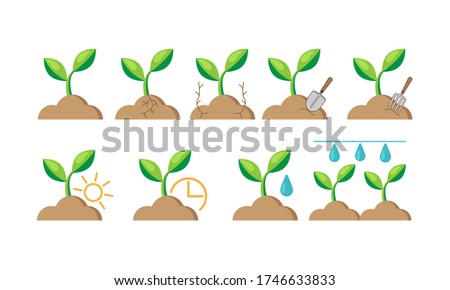 Plant sprout icons. A simple set of plant related vectors. Contains icons such as growth conditions, leaves, auto watering, gardening tools, sun and time. 