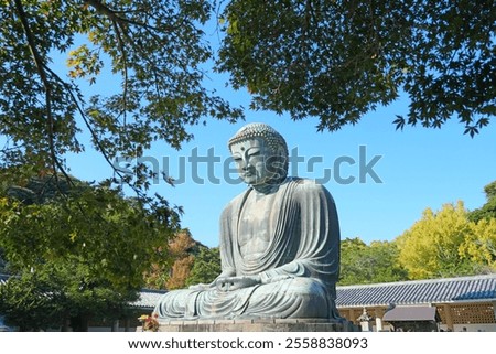 Similar – Image, Stock Photo Buddha sculpture on green nature and buddhist prayer flags