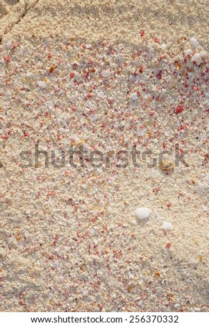 Pink coral pieces give Bermuda sand its famous pink hue