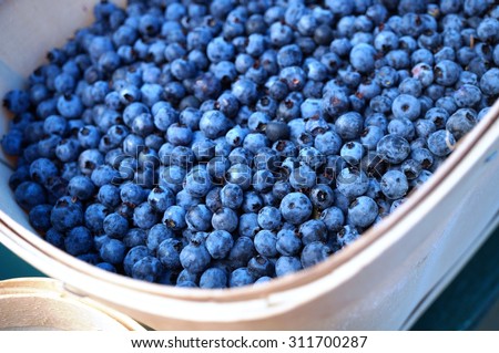 Wild blueberries (bleuets) at a Canadian farmers market