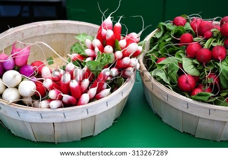 Fresh pink and white radishes at the farmers market