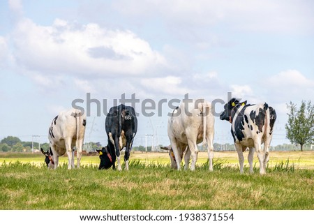 Similar – Foto Bild spaziergang Landwirtschaft