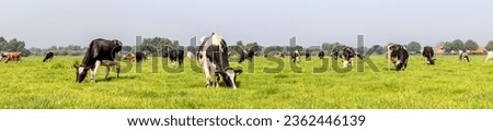 Similar – Foto Bild spaziergang Landwirtschaft