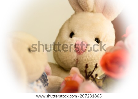 Rabbit doll with rose sitting,Rabbit in love concept.
