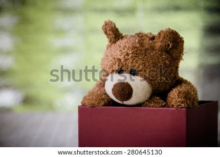 Teddy bear in box ,Still life art photography