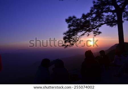 The trees and people at sunset