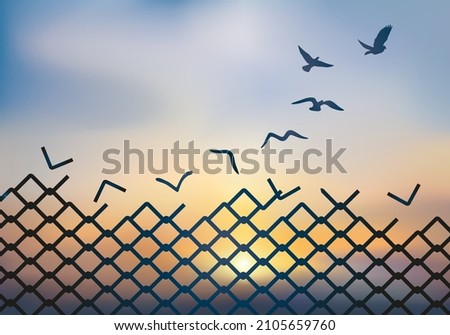 Concept of liberation, with the grid of a palisade which metamorphoses into a dove, which flies and escapes to the setting sun.