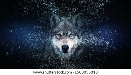 Wolf wallpaper with decay effect,  Photo stock © 
