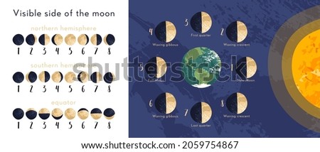 Moon phase, lunar cycle, synodic month. Lunary visible side. New and full moon, waxing and waning crescent, first and last quarter, gibbous. Astronomy, astrophysics. Vector flat cartoon illustration