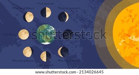 Moon phase, lunar cycle, synodic month. Lunary visible side. New and full moon, waxing and waning crescent, first and last quarter, gibbous. Astronomy, astrophysics. Vector flat cartoon illustration