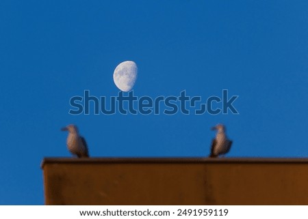 Similar – Foto Bild Himmel über silbriger See und Meer