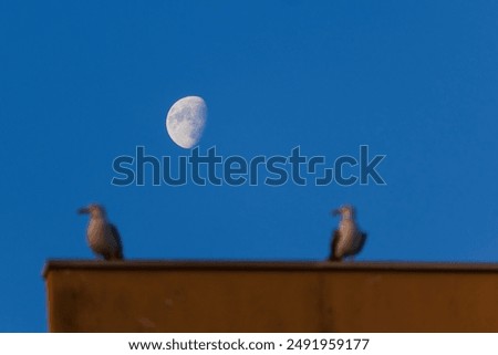 Similar – Foto Bild Himmel über silbriger See und Meer